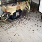 Тараканы под холодильником