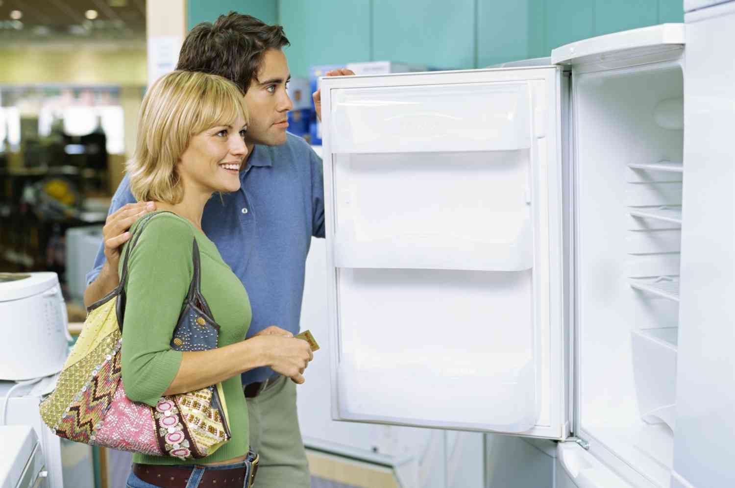 Обзор популярных холодильников NORD