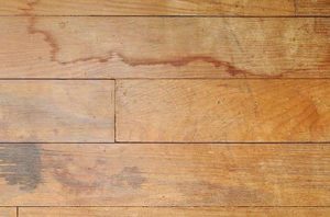 Как заделать дырку в ламинате на полу при помощи древесной шпаклёвки