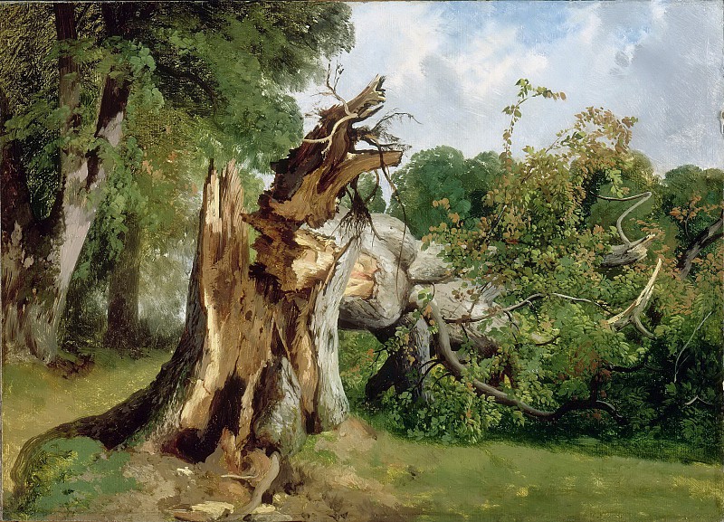 Калам "Сломанное дерево"
