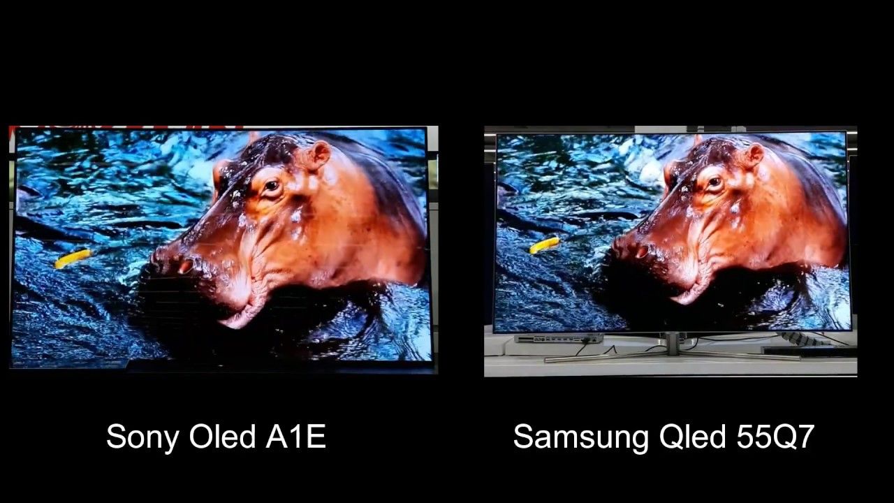 Сравнение OLED и QLED телевизоров.