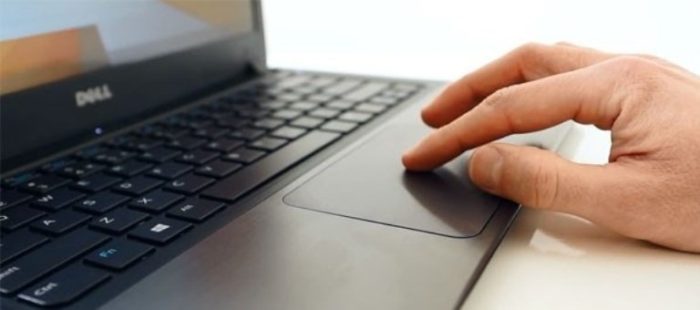 Мышка на клавиатуре ноутбука