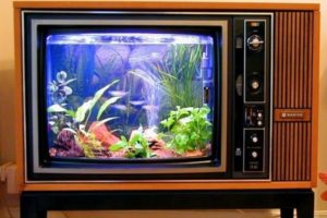 готовый аквариум в старом телевизоре