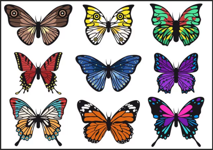 шаблон цветных бабочек