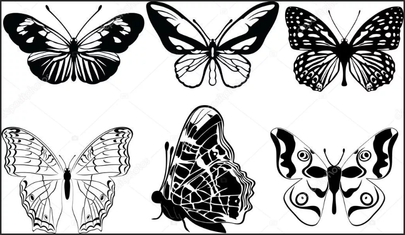 шаблон черно-белых бабочек
