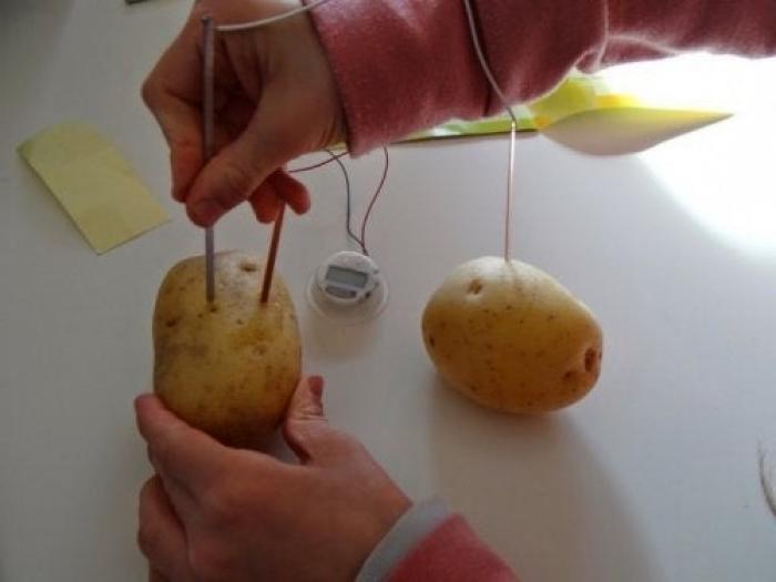Электричество из картофеля.