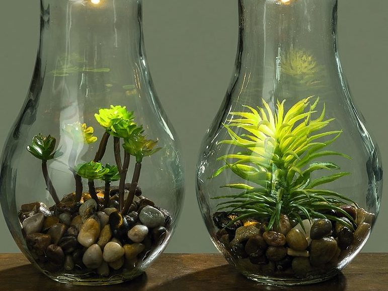Декоративный миниатюрный флорариум в лампе.
