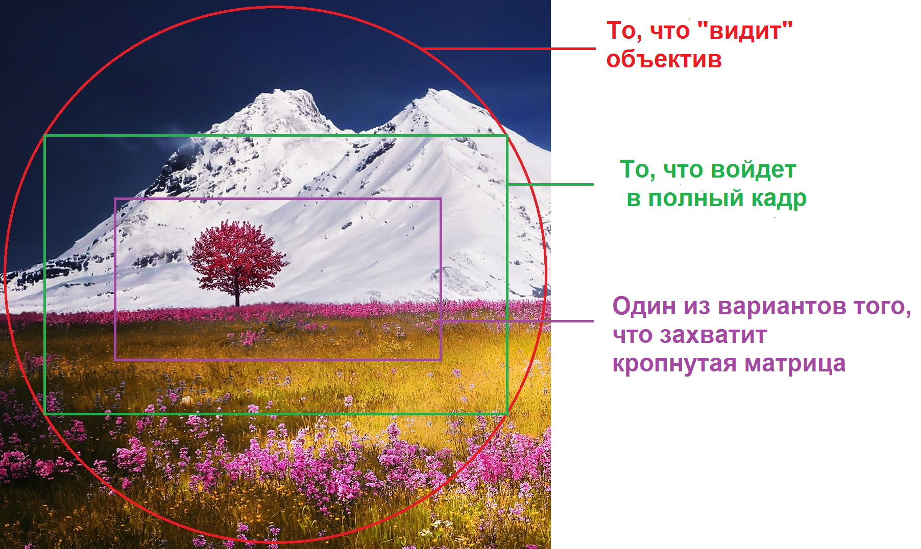 Кроп фактор 6.02