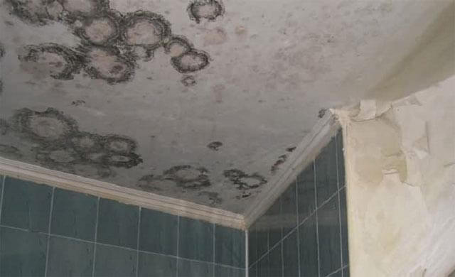 плесень и грибок под натяжным потолком в ванной
