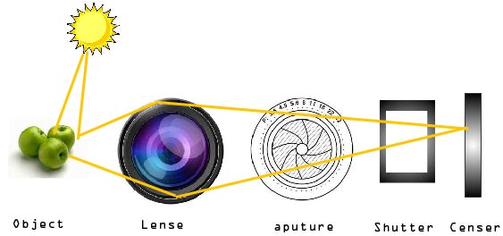 Изображение в зеркальном фотоаппарате формируется.... How does a Camera capture an image?. Apature.