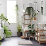 11 plants that you can put even... in the bathroom