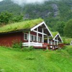 Geirangerfjord grass roofed house_0 (Копировать)