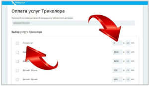 Что значит ошибка 10 Триколор